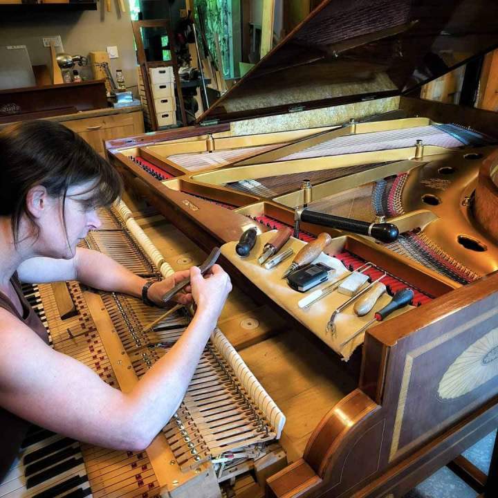 régulation hygrométrie piano France