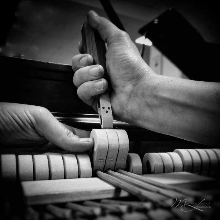 Harmonisation carré BW France