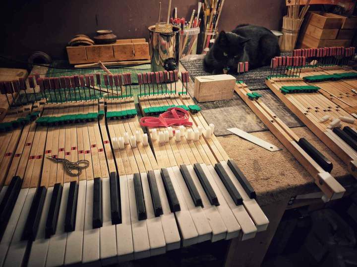 Regarnissage mortaises Pleyel